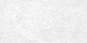 Плитка WT9BTN00 Beton Gray 24.9х50 AltaCera