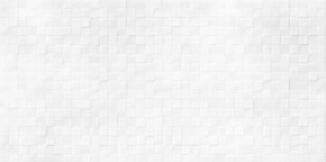 Плитка WT9SOS00 Santos White 249*500*8,5 AltaCera