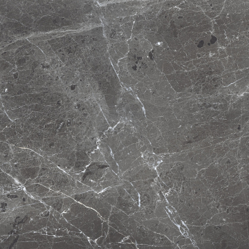PR108 Керамогранит Ardesia Grafito Polished 600x600 PrimaVera