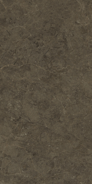 PT12F7039 Керамогранит Neapol Brown Matt 1200х600х9 Protiles