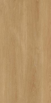 PT12F7041 Керамогранит Albero Beige Matt 1200х600х9 Protiles