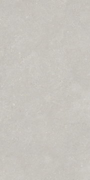 PT12F7048 Керамогранит Pietra Light Grey Matt 1200х600х9 