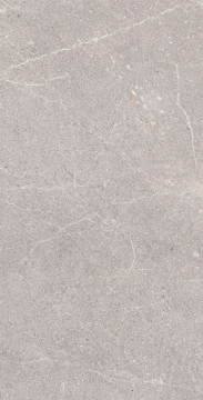 RG6001-A Керамогранит Equistone Gris Rotto Glossy Ink 60x120 Arcadia Ceramica