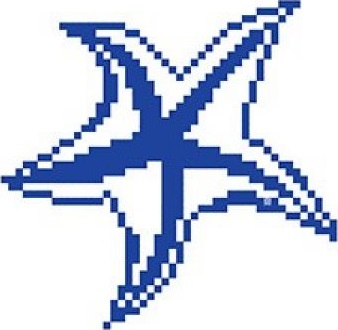 Serapool SD-118 Мозаика Porcelain Mosaic Design Starfish 2 5x5 (240x240) Serapool