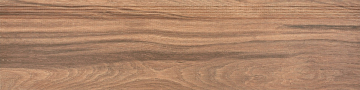Ступени DCPVF143 BOARD 30x120 RAKO