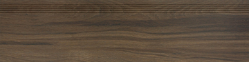 Ступени DCPVF144 BOARD 30x120 RAKO