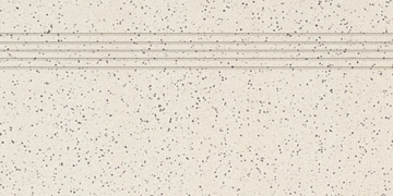 Ступени TCPSA062 TAURUS GRANIT 30x60 RAKO