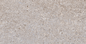 TP3625A Плитка Алькон светло-серый ректификат 30x60 PrimaVera
