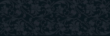 V13897681 Плитка Deco Crystal Dark 33.3x100 Venis