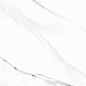 Roman Elite Glossy 60x120 Art Ceramic