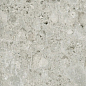 744881 Timeless Ceppo Di Gre Nat Ret 60x120 Cerim