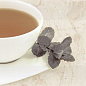 Delice Dulce Monopole Ceramica