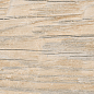 AB 1104W Forest Essenze Beige 1200x200 Absolut Gres