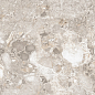 Venus Fossil Double Digital 60x120 Realistik