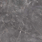 7170 Elite Grey Polished 60x120 Leopard