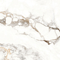 ETMAR1201GL60120 Antique Carrara Glossy 60x120 Eternal