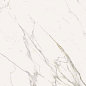 292A Calacatta Statuarietto Nat RT 60x120 Keope
