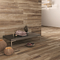 SHINE BEIGE RET. 20x120 Cerdomus