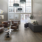 Starwood Venis