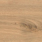 AX5T Log Icon Oak Matte 20x180 Atlas Concorde