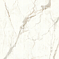 A421 Marvel Calacatta Prestigio Scenic Bookm A Lp 120x278 Atlas Concorde
