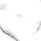 P76295 Barcelon Polished 60x120 Pardis Ceramic Pazh