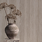 1188 Travertine Vein Beige Matt 180x120 Artcer