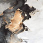 Golden Sky High Glossy 60x60 Concor
