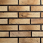 Лофт 01-02 рядовая 210х50х8 Ecostone