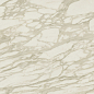 AENP Marvel Royal Calacatta Lappato 120x120 Atlas Concorde