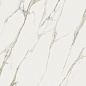 PF60010391 Calacatta Michelangelo Nat R 120x120 ABK