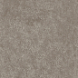 Scs Spectra Moshroom 5,8х25 Simpolo Ceramics
