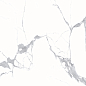 Megnus Statuario Glossy 60x60 Modern Tile
