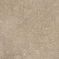 11022 Shell BG 60х120 Creto
