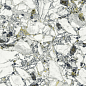 610015000703 F.d.M.Quark Ceppo Apuano Forest Lapp Rett 80x80 Atlas Concorde Russia