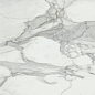 Invictus Natural 120x120 Baldocer