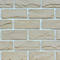 Аспен 01 рядовая 250х90х20 Ecostone