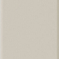 Plinto Greige Gloss 10.7x54.2 DNA Tiles