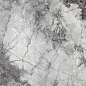 MT12619 Глянец 60x120 CSG фото в миниатюре