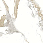 Medici Gold Pulido 80x160 Benadresa