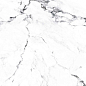 CR4006-A Borghini Silver Carving 60x60 Arcadia Ceramica