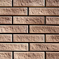 Ванкувер 01-05 рядовая 240х65х12 Ecostone