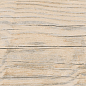 AB 1104W Forest Essenze Beige 1200x200 Absolut Gres