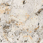 BHW-0042 Phoenix full body polished (gold) 60x120 Basconi Home