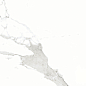 905 Silver Shine 120x60 Artcer