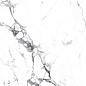 CR4006-A Borghini Silver Carving 60x60 Arcadia Ceramica