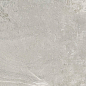 232866 Petra Viva Silver 59.5х119.2 Colorker