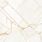 PF60017518 Supreme Hedonism Golden Spider Nat R 60x120 Flaviker