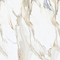 Calacatta Oro Glossy 60x120 Modern Tile