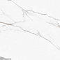 60120REG00P Calacatta Regal полированный 600x1200x7 New Trend